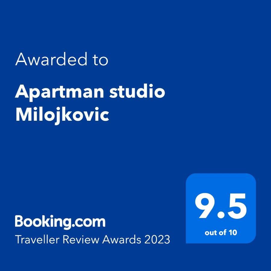 Apartman Studio Milojkovic ゴルバッツ エクステリア 写真